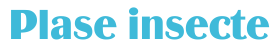 Plase insecte